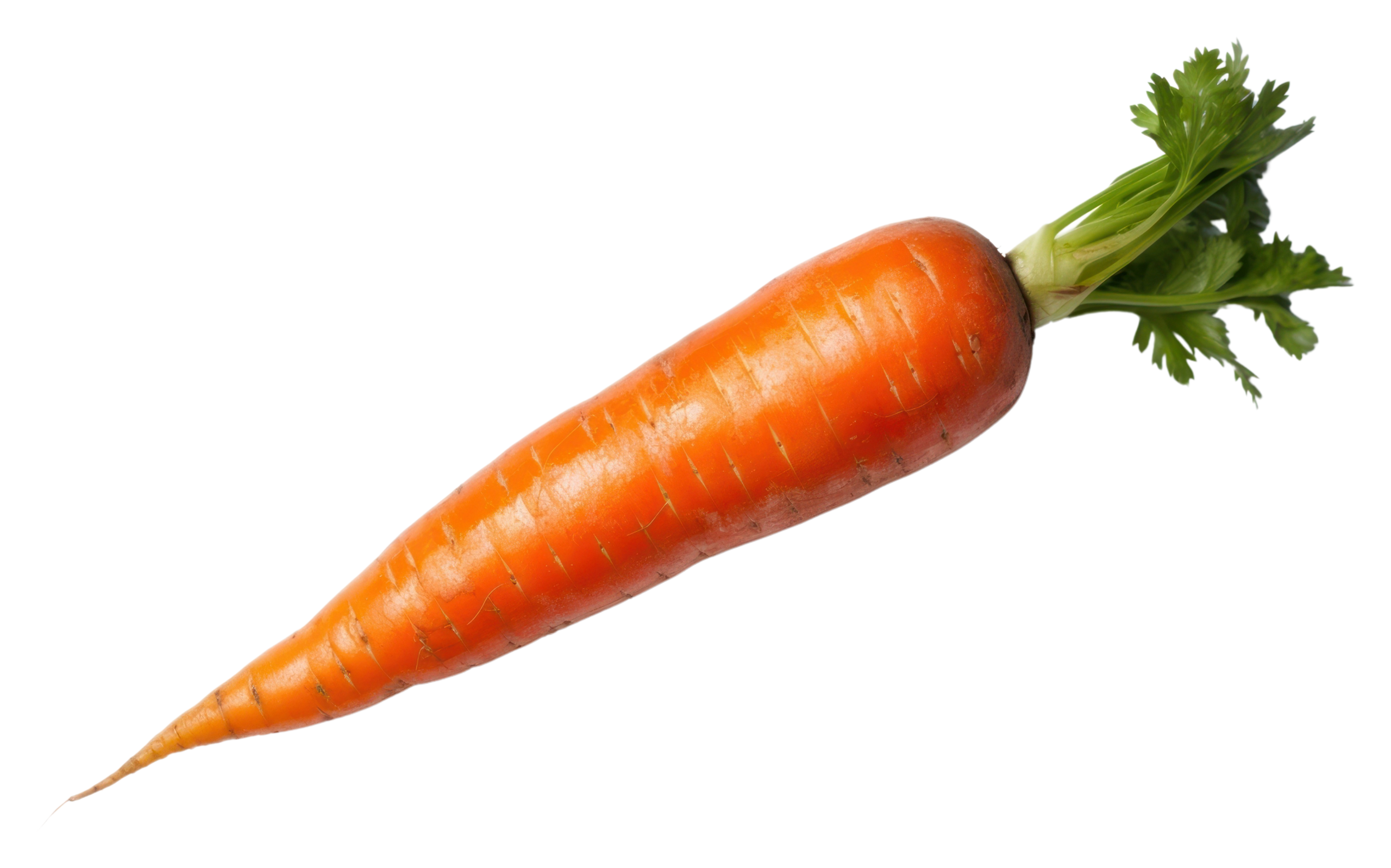 marchew